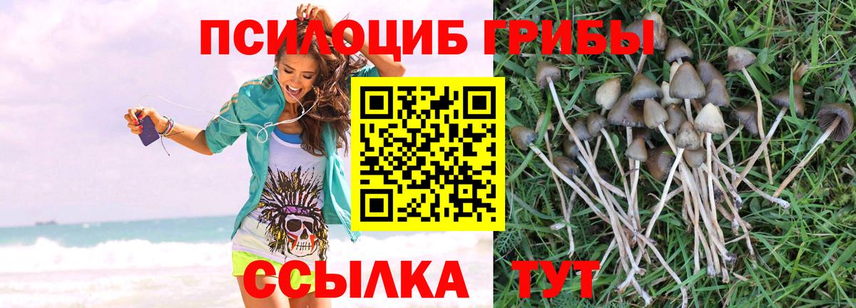 Псилоцибиновые грибы Magic Shrooms Раменское