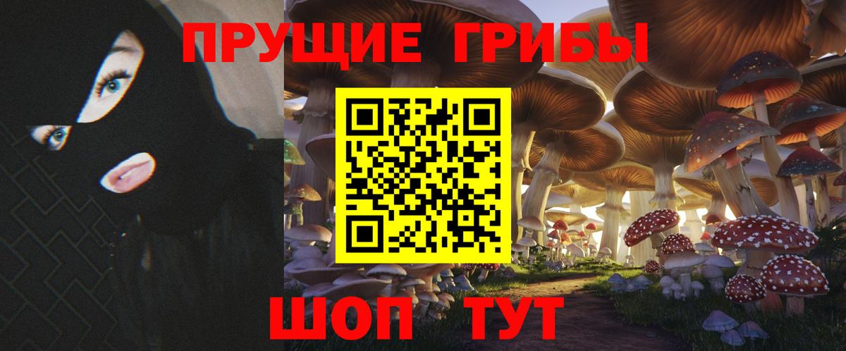 цена наркотик  Вход с VPN  Раменское  Галлюциногенные грибы Psilocybe 